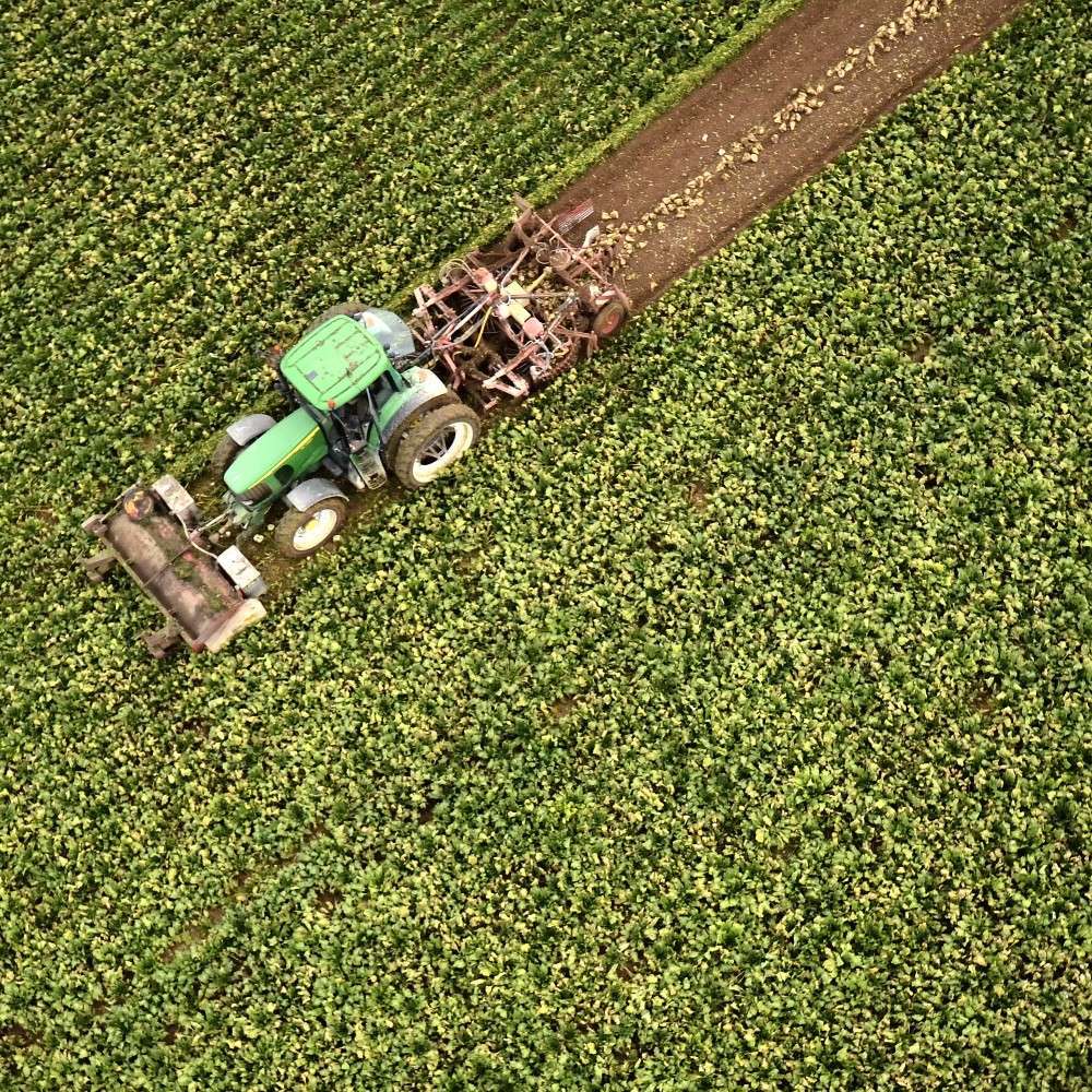 agriculture blog sq