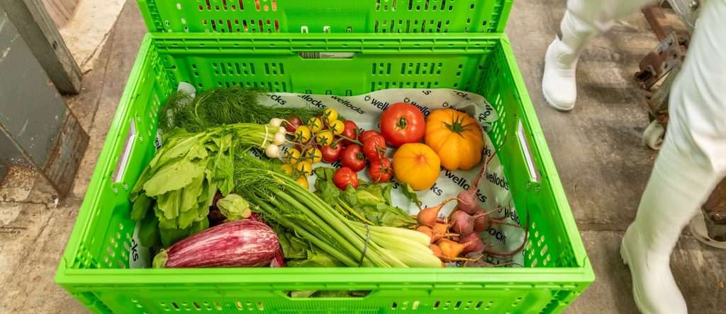 food transport solutions